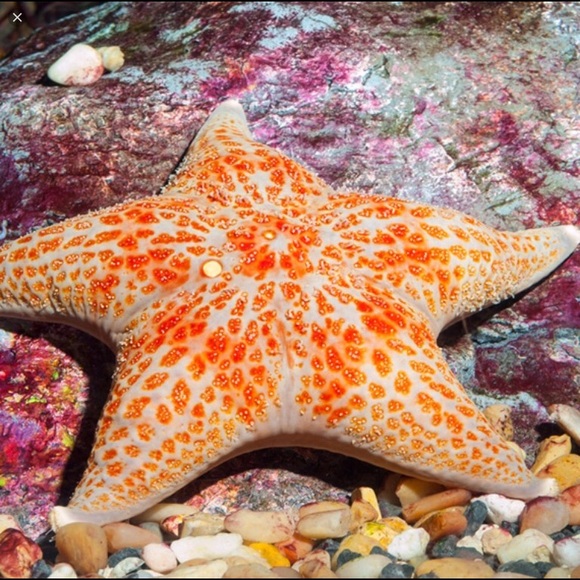 Meet Emilee: Eclectic Posher & Puppy Mom - Picture 2 of 8